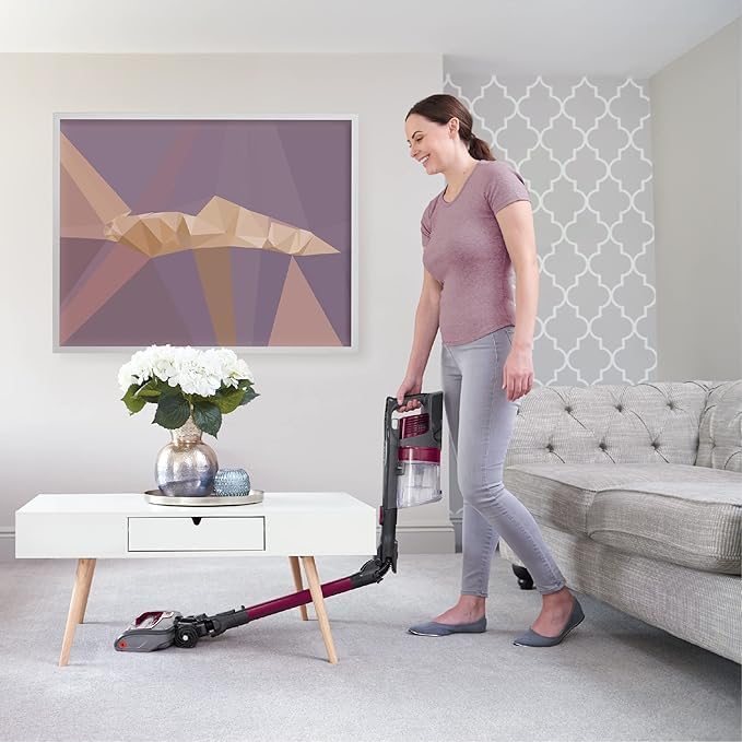 Shark Cordless Vacuum Cleaner