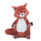 Les Déglingos - Netoitou Raccoon