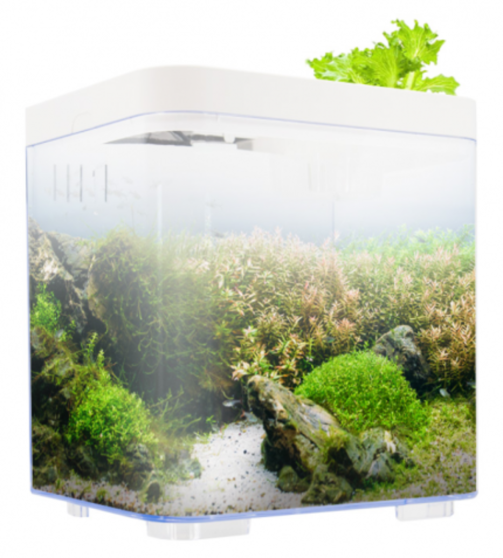 KW Zone Dophin Mini Betta Tank Kit Without Temperature Display 7L