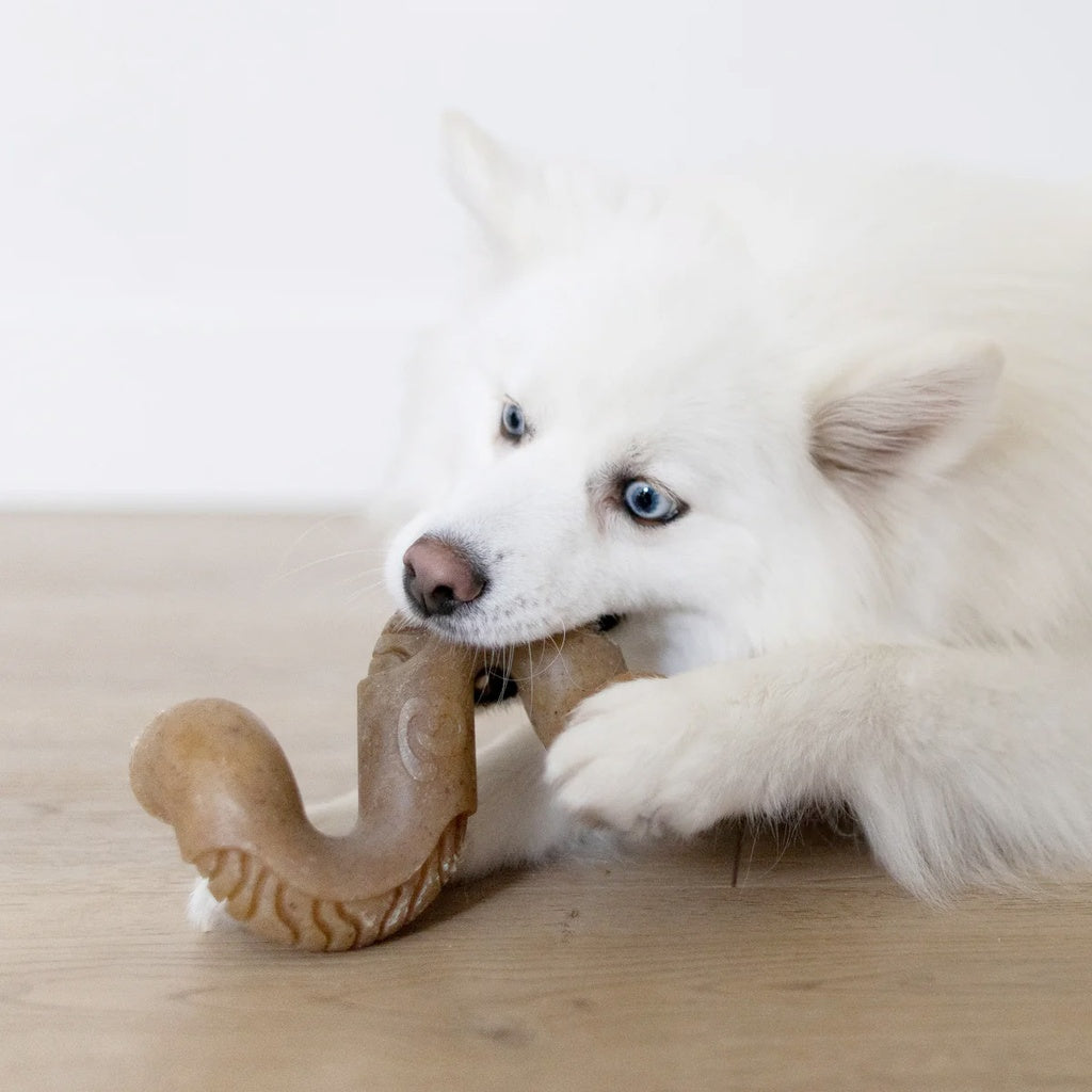 Benebone Beef Tripe Bone Medium