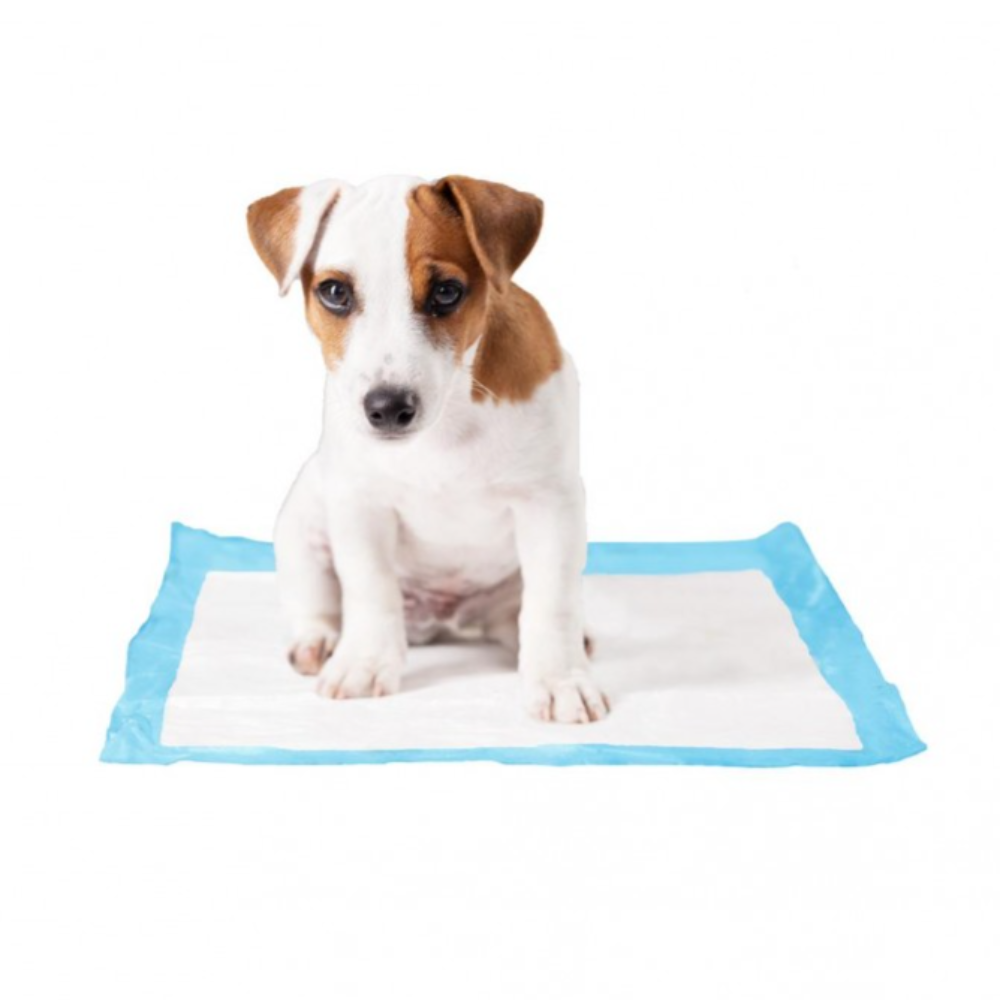 Duvo Pet Pad Dog Training Medium