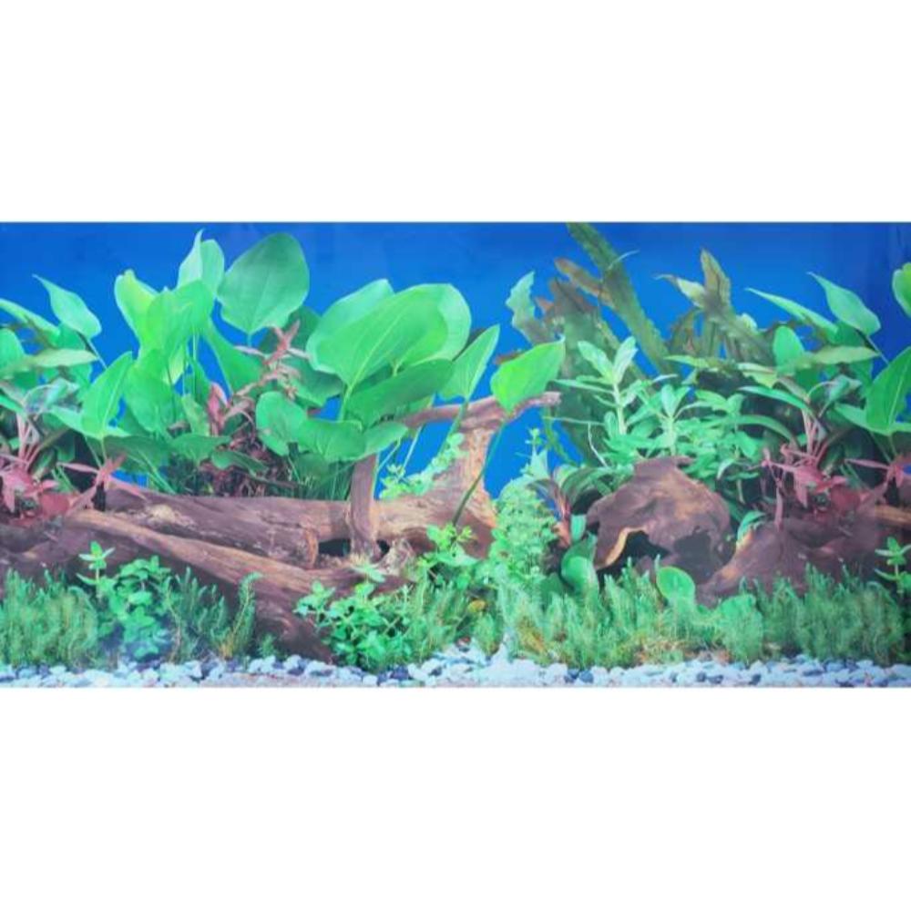 KW Zone Aquarium Backscreen