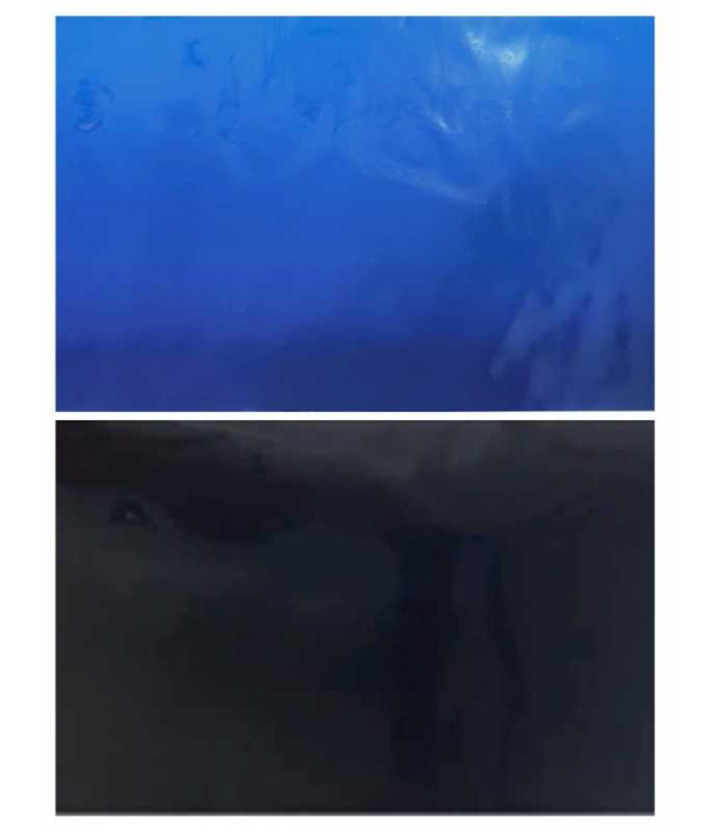 KW Zone Aquarium Backscreen (Plain)