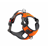 حزام مريح T8 من Golden Panda، برتقالي