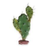 Hobby Terrarium Decoration, Cactus Serengeti 30 cm -H
