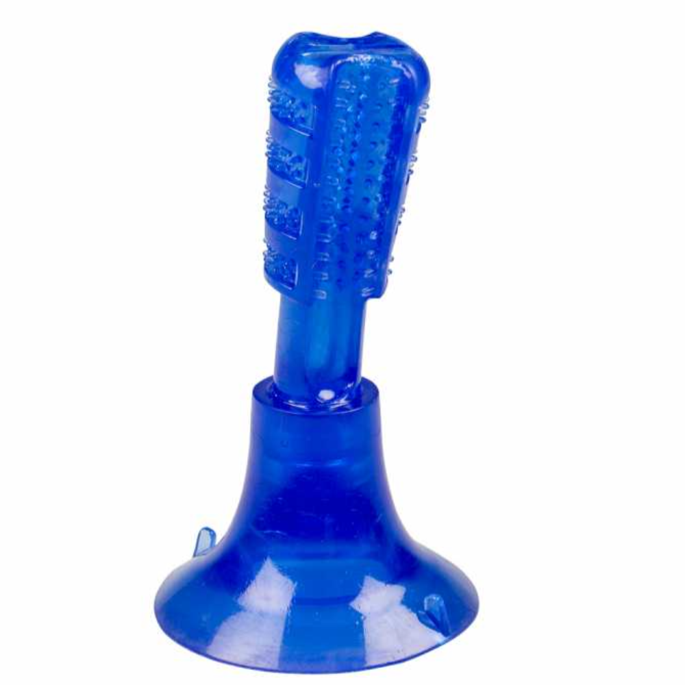 Duvo+ Chew and Play Brush Fix Blue Large