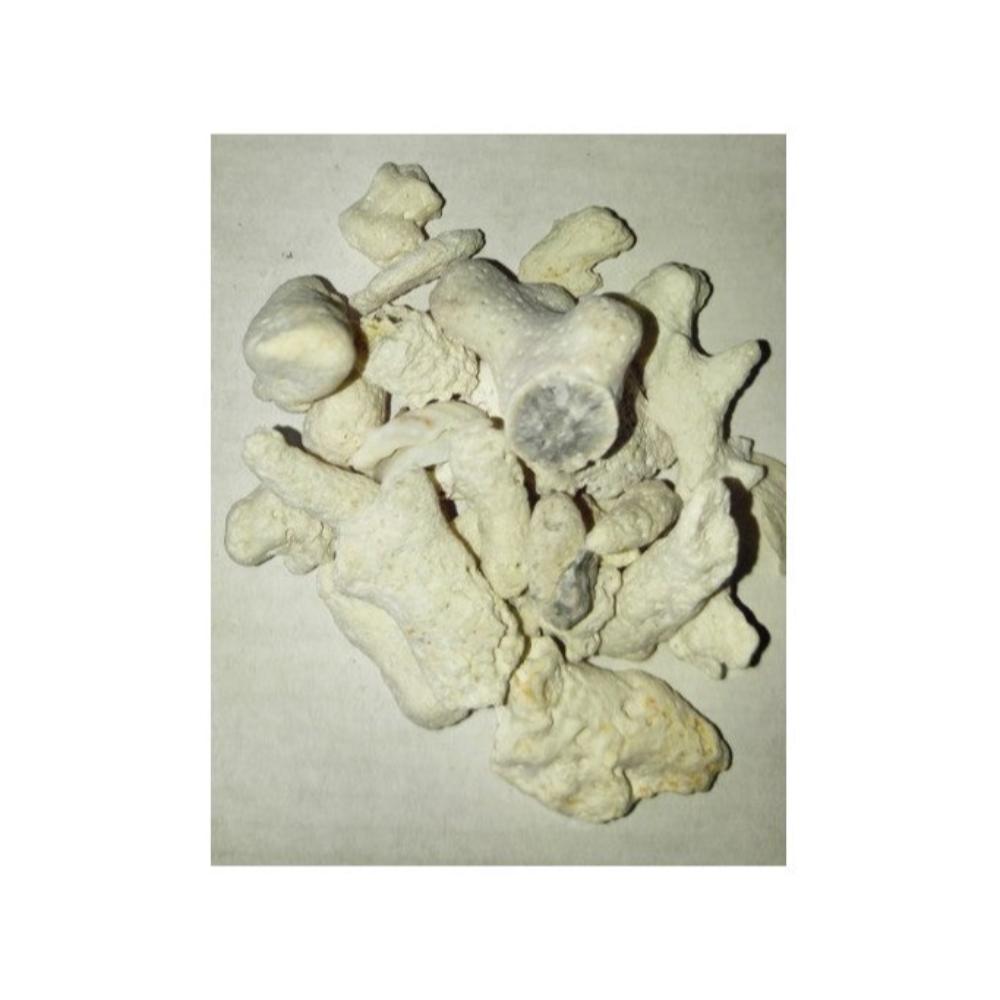 Camry No 15 Marine Sand 10kg