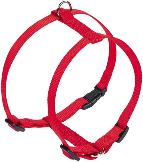 حزام نوبي قابل للتعديل باللون الأحمر الكلاسيكي 50-70 سم / 20 مم