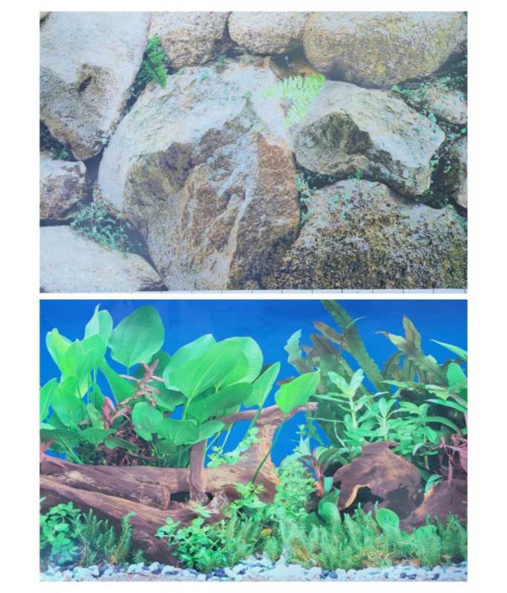 KW Zone Aquarium Backscreen (Picture)