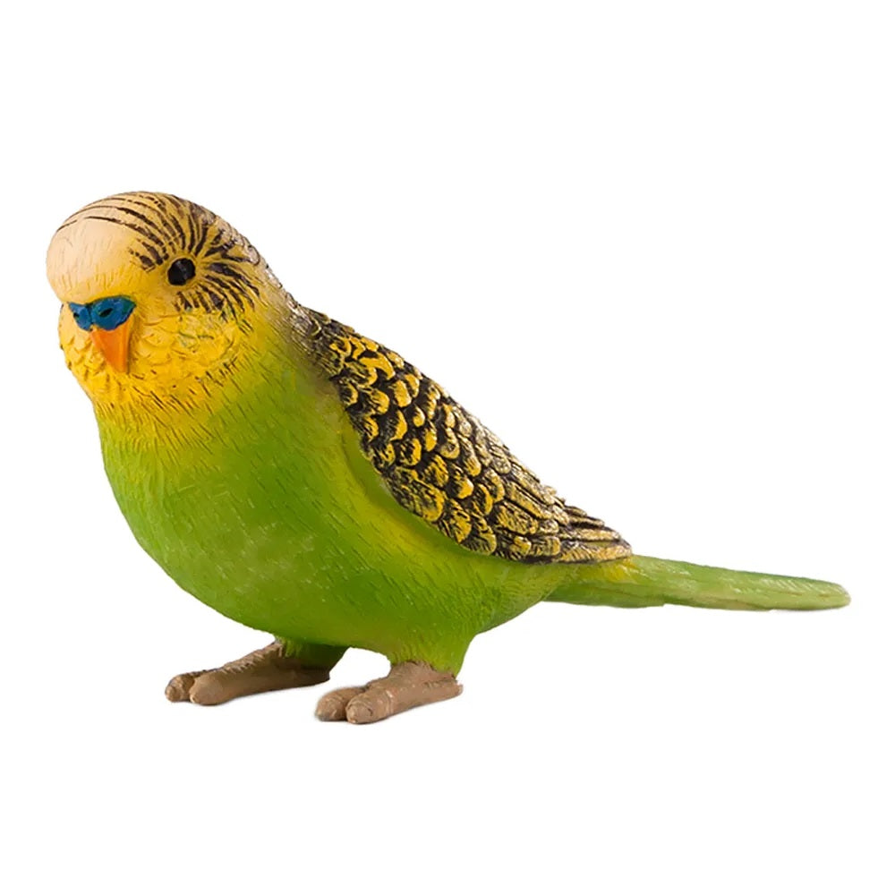 Animal Planet - Mojo Budgerigar - Green