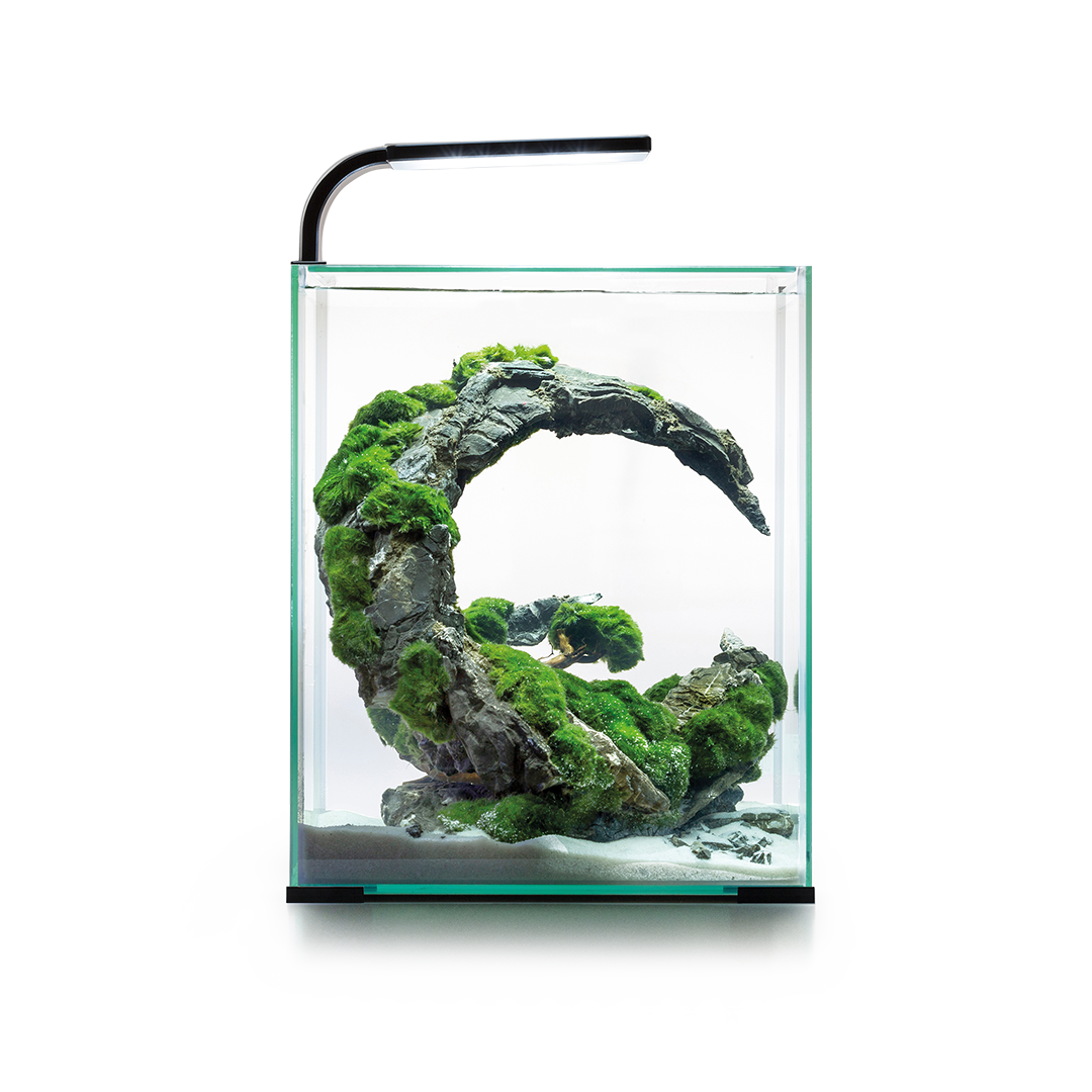 Aquael Shrimp Set Smart Black Day & Night 30L