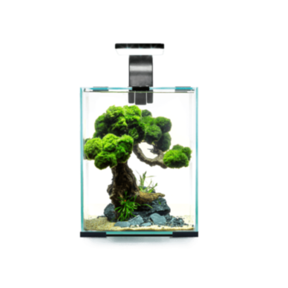 Aquael Shrimp Set Smart Black Day & Night 10L