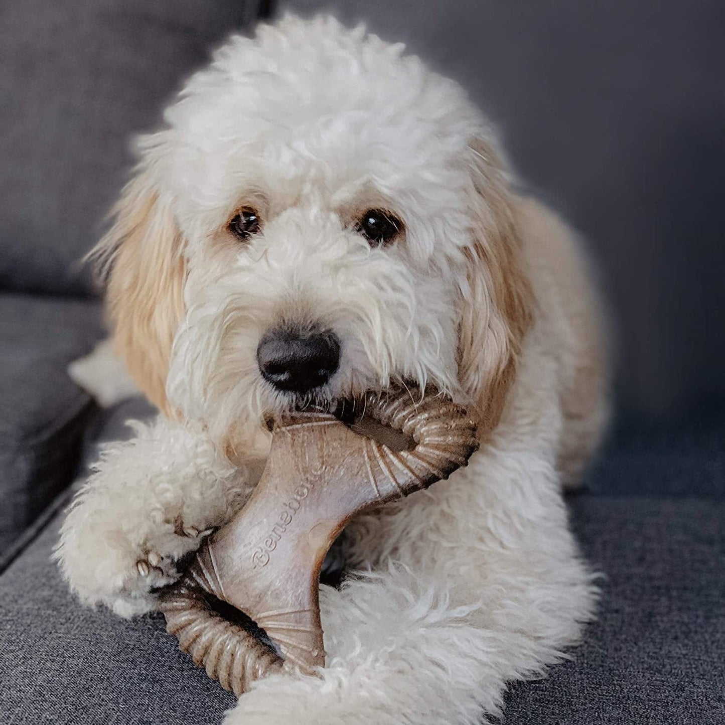 Benebone Pet Supplies Benebone Dental Chew Bacon - Medium