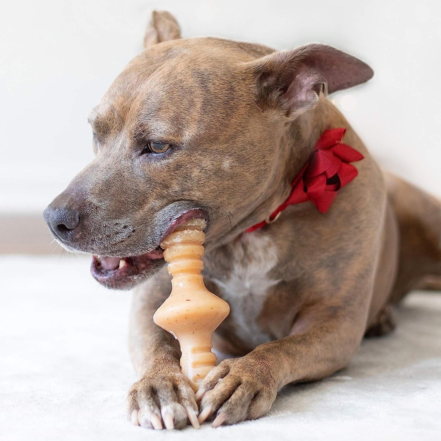 Benebone Pet Supplies Benebone Zaggler Chicken - Medium