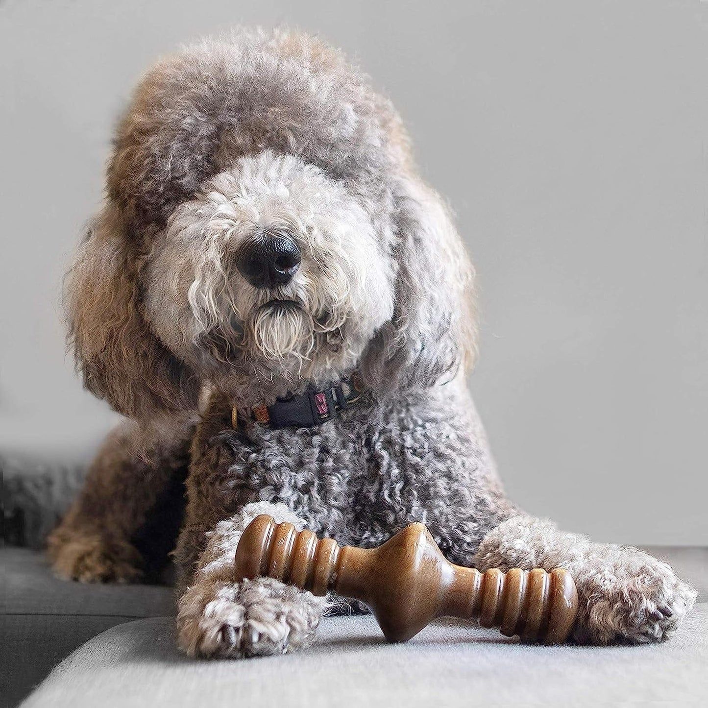 Benebone Pet Supplies Benebone Zaggler Peanut - Giant