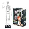 Buki Educational Set Skeleton 45 cm