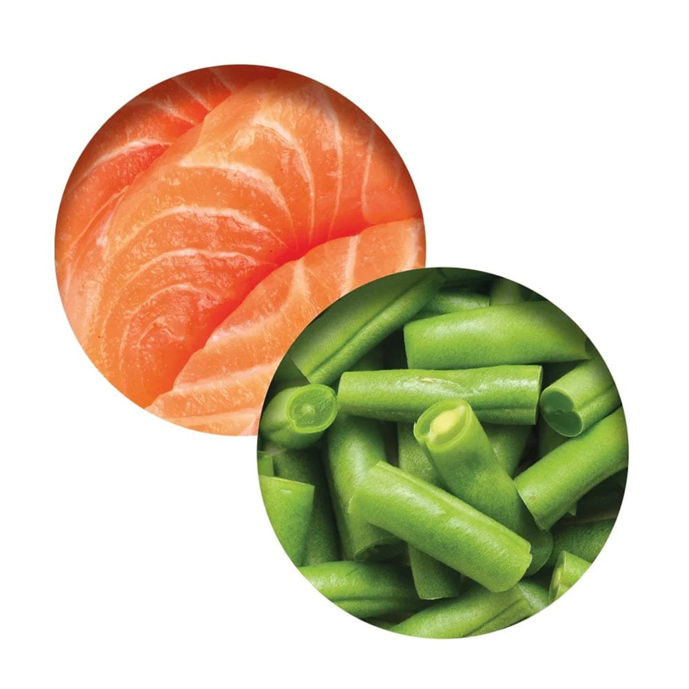 Catit Pet Supplies Catit Fish Dinner, Salmon & Green Beans 80g