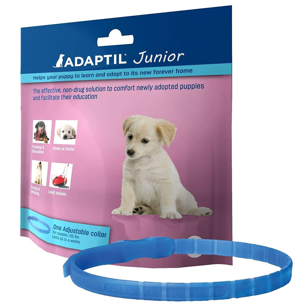 Ceva Pet Supplies Ceva Adaptil Collar - Junior