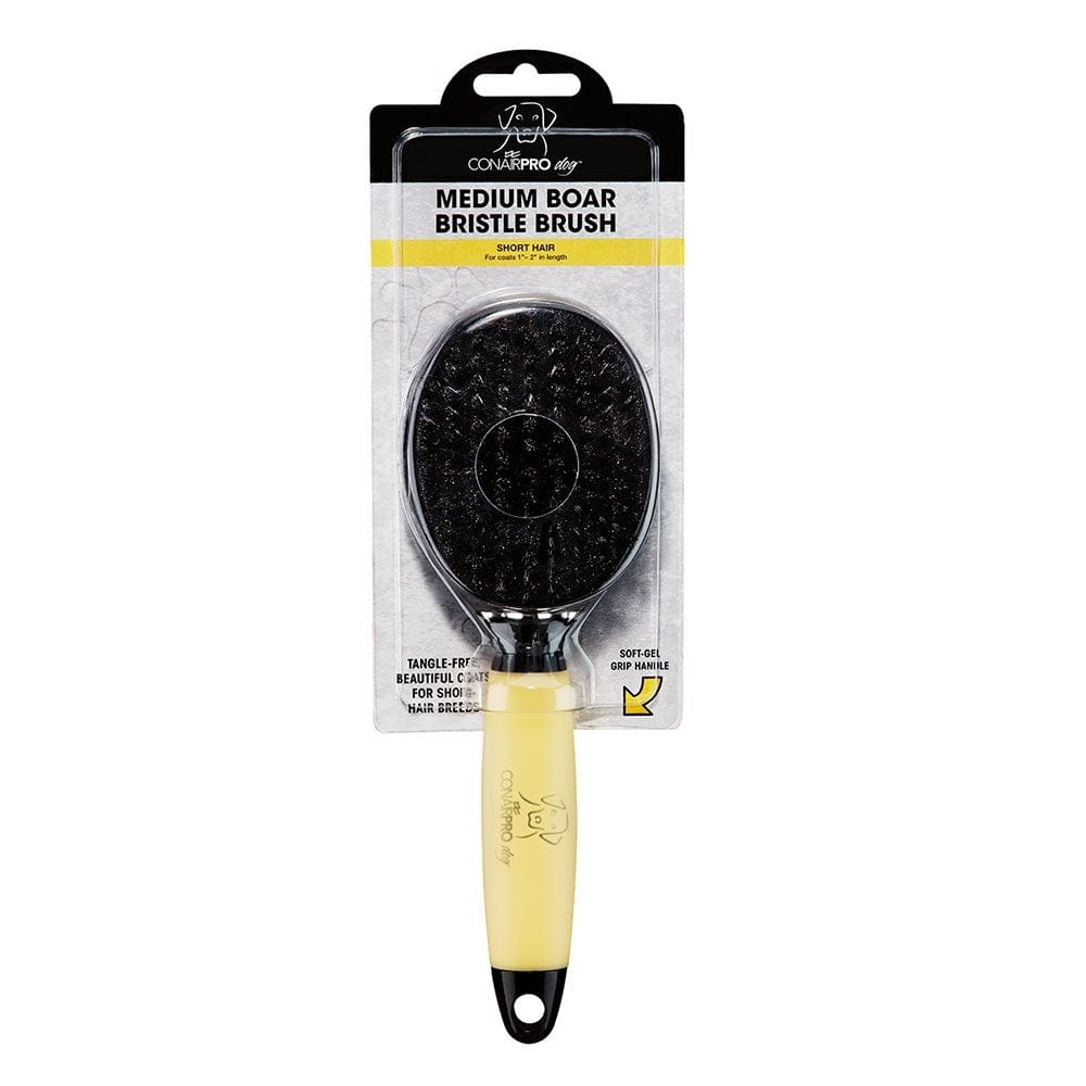 Conair Pro Pet Supplies Conair Dog (Medium) Bristle Brush
