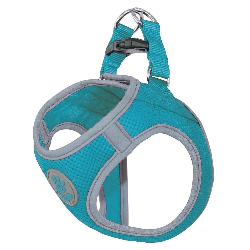 Doco Pet Supplies Doco Athletica Quick Fit Mesh Harness - Turquoise - Medium
