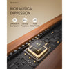 Donner Piano Donner DDP-80 Plus 88-key wooden digital piano