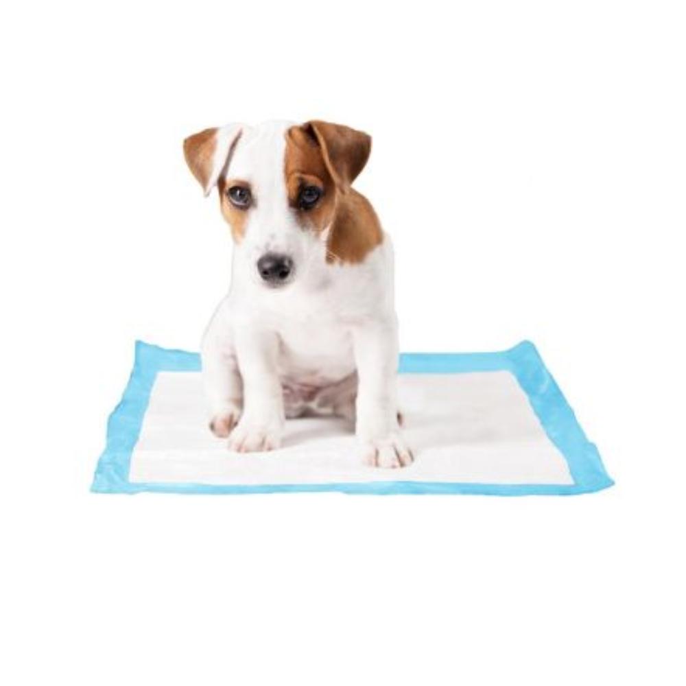 Duvo Pet Pad Large 30pcs 45 x 60cm