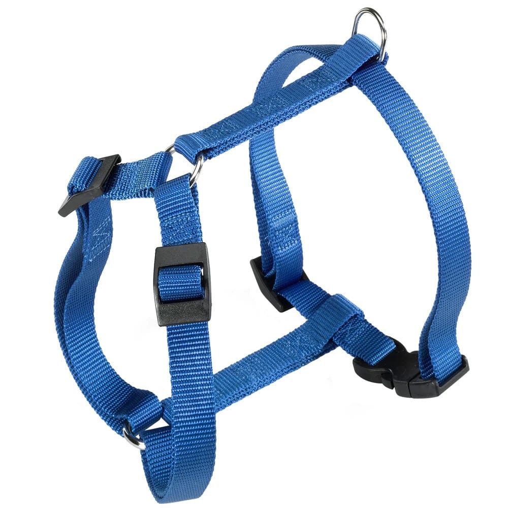 Ferplast Pet Supplies Ferplast Champion P Harness - Blue - XL