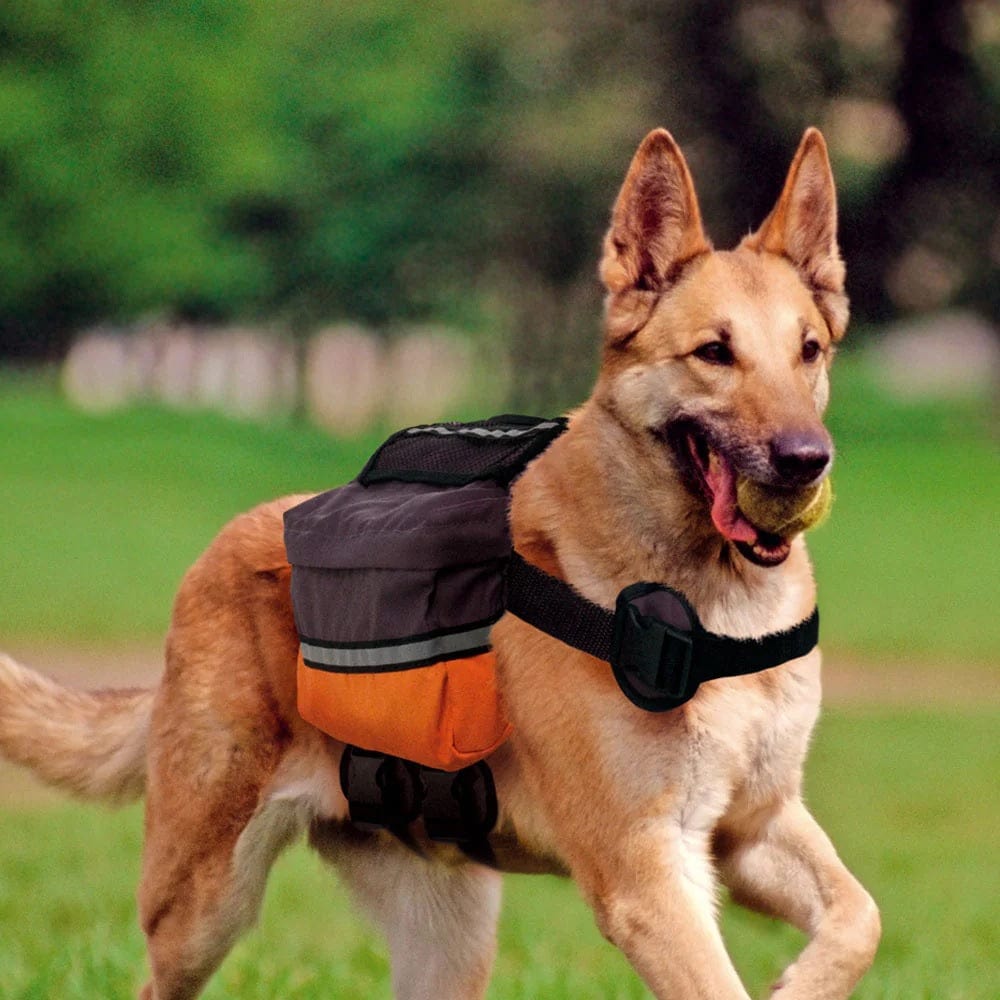 Ferplast Pet Supplies Ferplast Dog Scout Bag