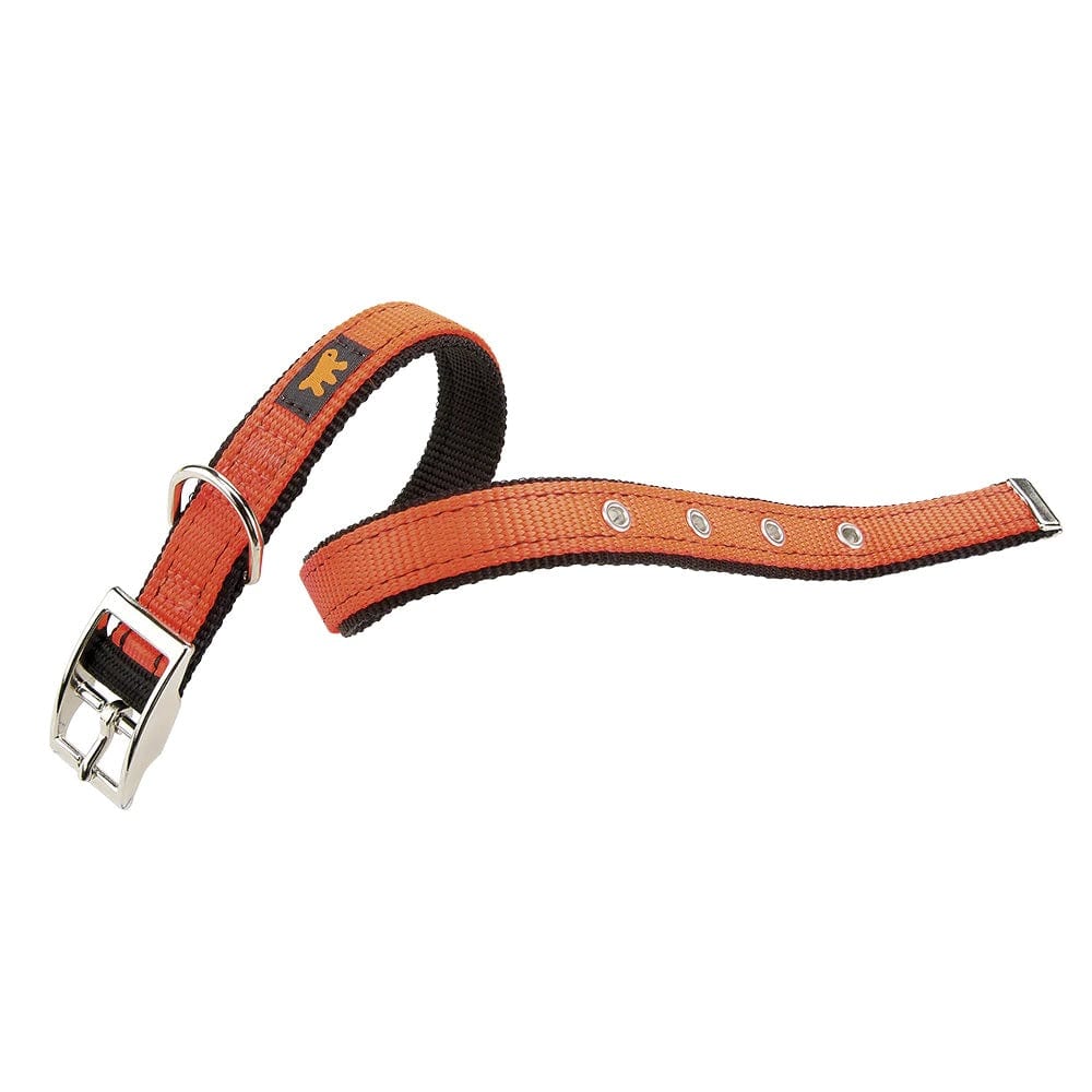 Ferplast hot sale dog collar