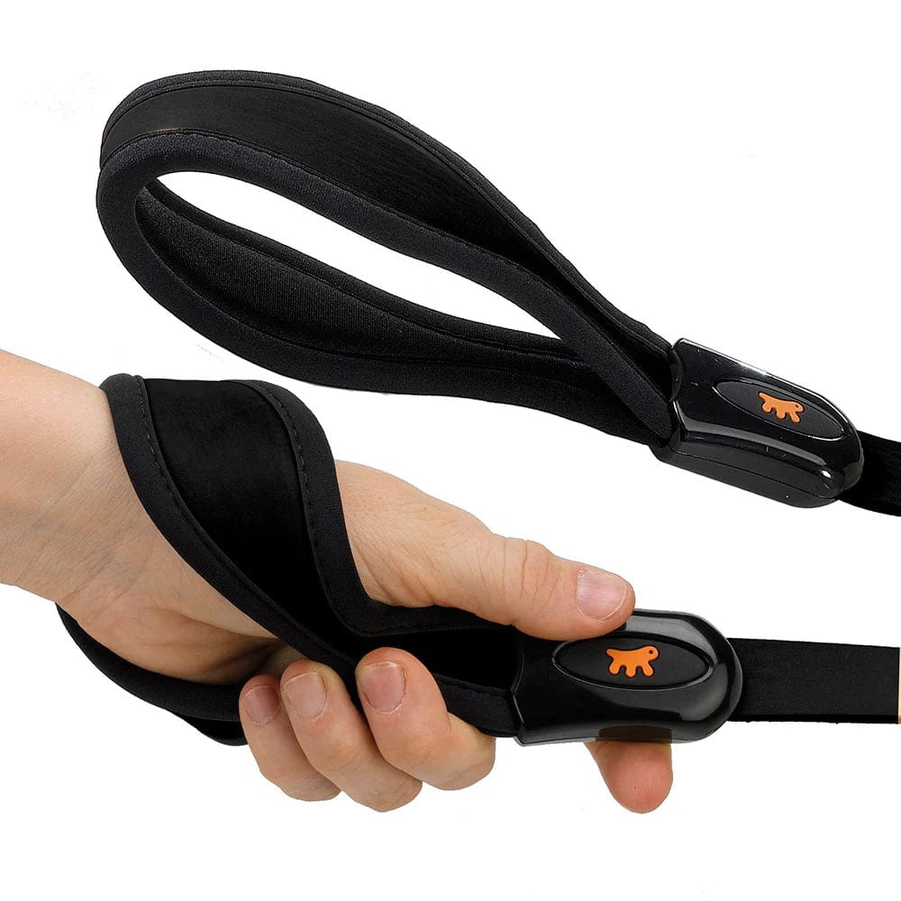 Ferplast Pet Supplies Ferplast Giotto G20/120 Dog Leather Leads - Black