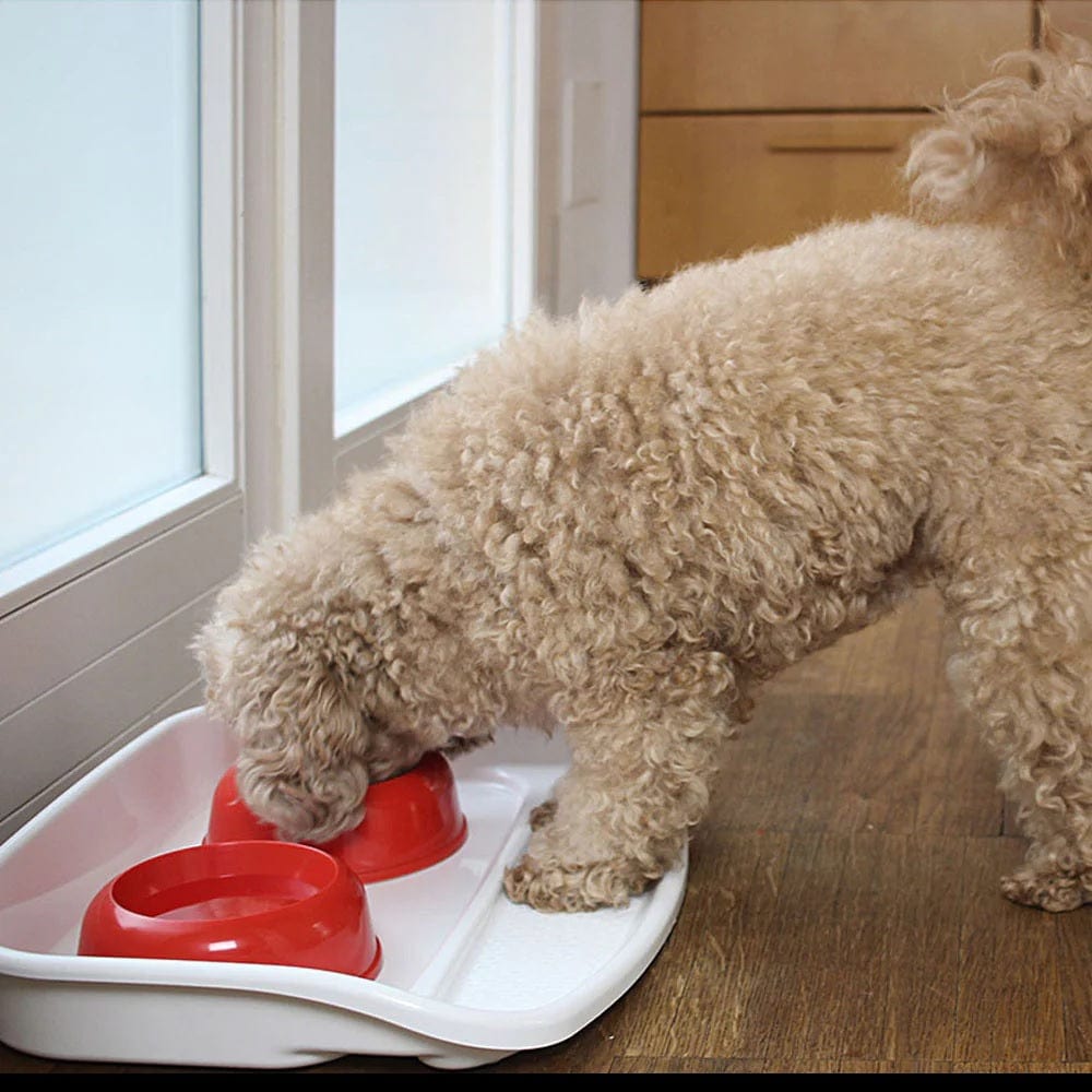 Ferplast Pet Supplies Ferplast Lindo Plastic Bowls With Tray 600ml