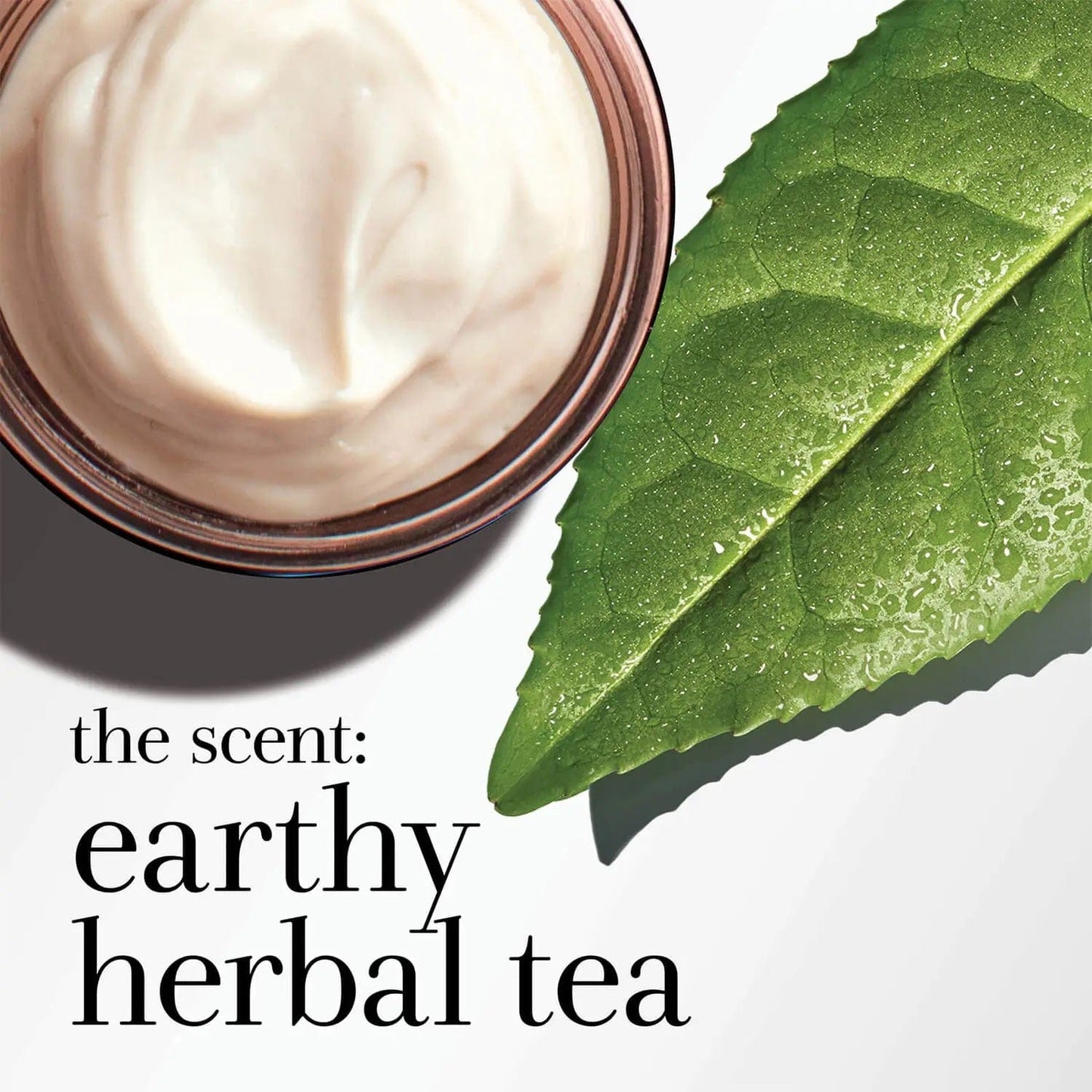 Fresh Beauty Fresh Black Tea Firming Overnight Mask 30ml