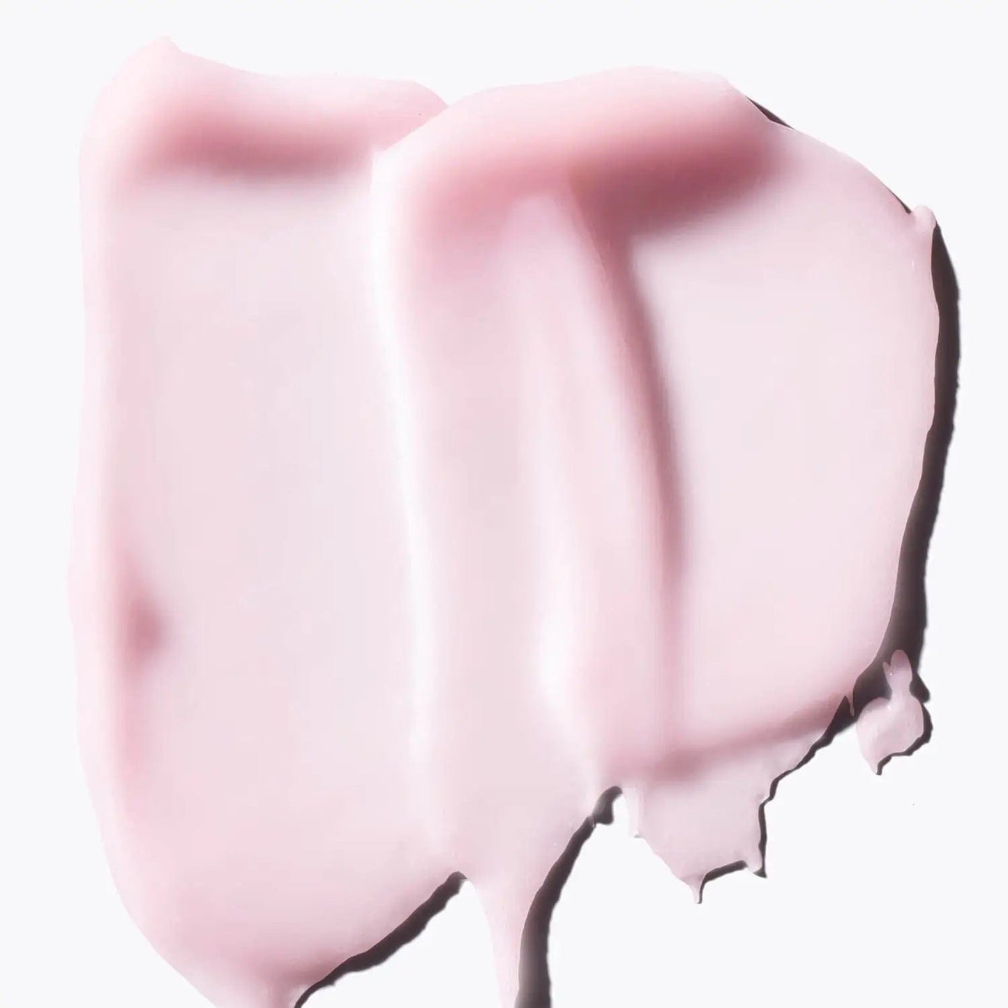 Fresh Beauty Fresh Rose Petal Soft Lip Cream 10g