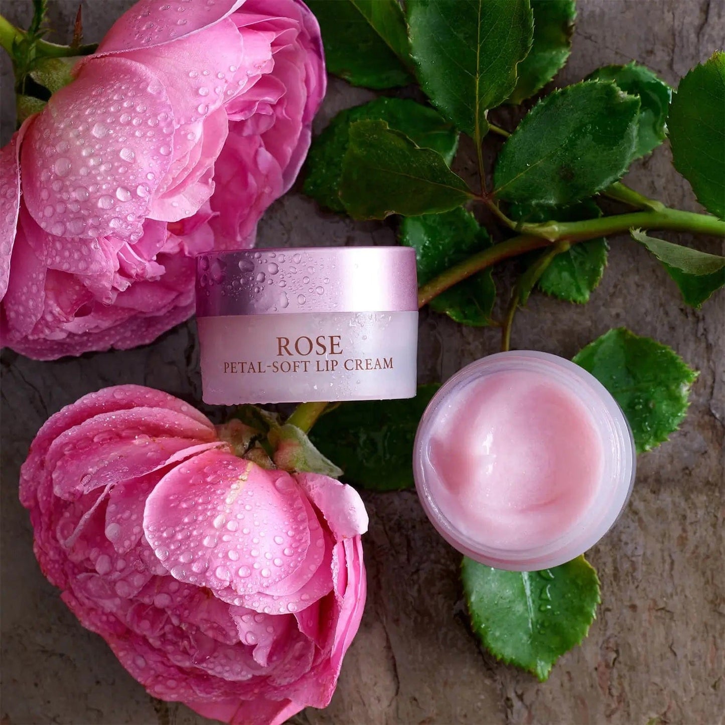 Fresh Beauty Fresh Rose Petal Soft Lip Cream 10g