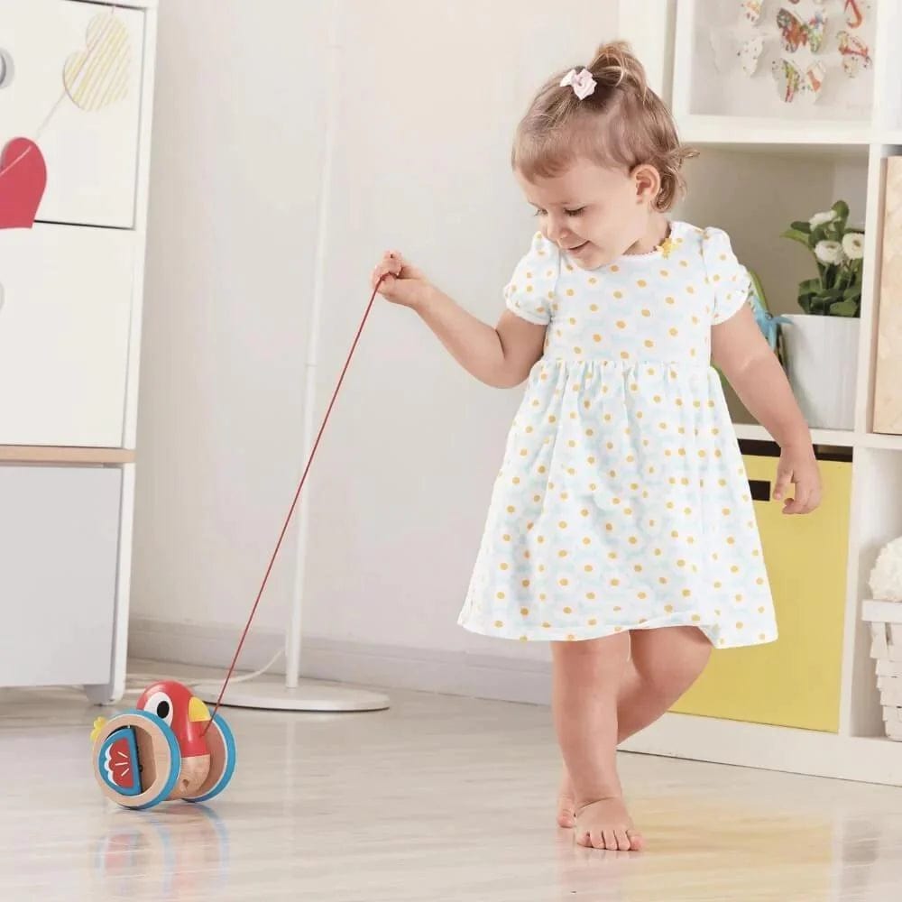 Hape Toys Baby Bird Pull Along