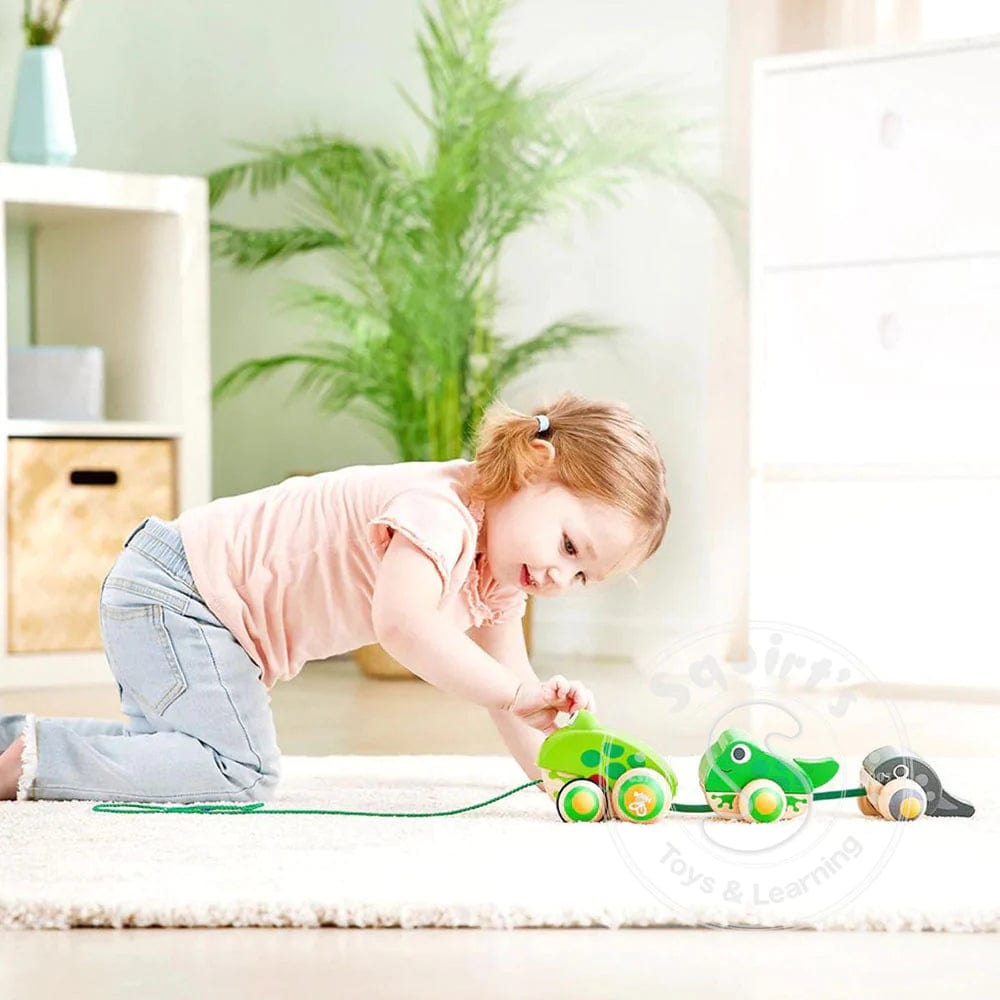 Hape Toys Pull-Along Frog Family
