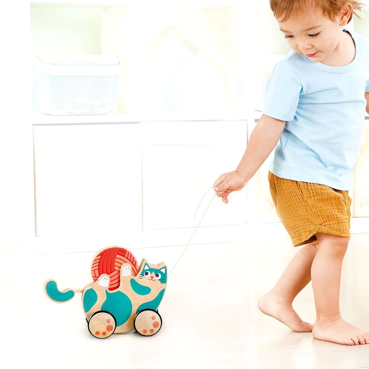 Hape Toys Roll & Rattle Kitten
