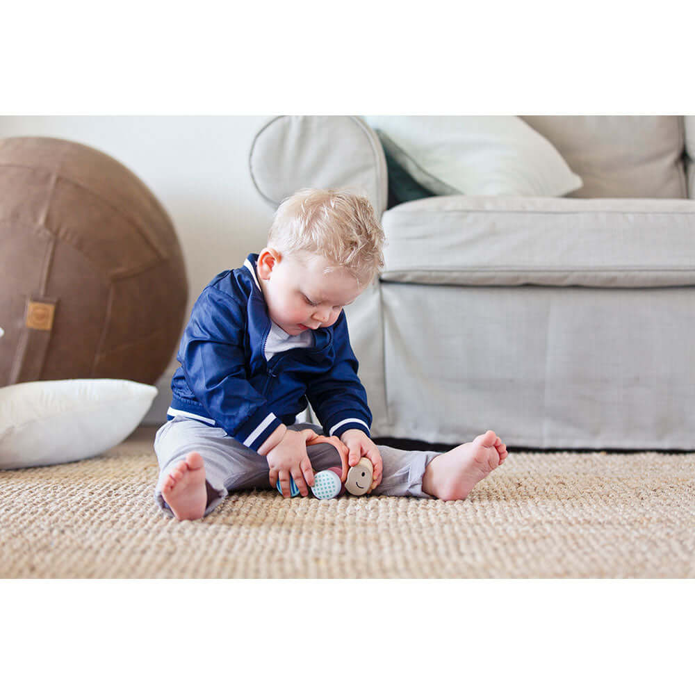 Hape Toys Turbo Turtle