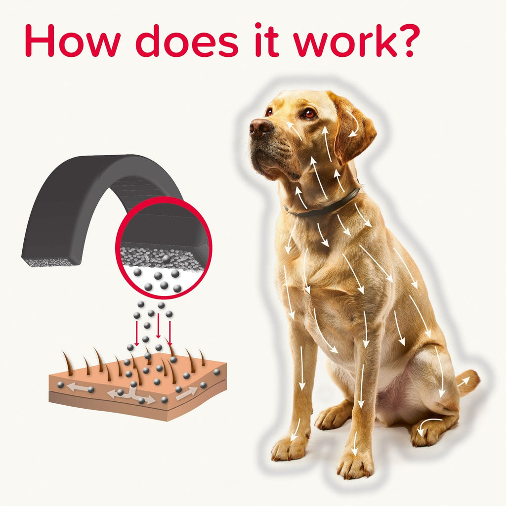 Beaphar Pet Supplies Beaphar Canishield Flea & Tick Collar (Deltamethrin) - Small & Medium Dogs