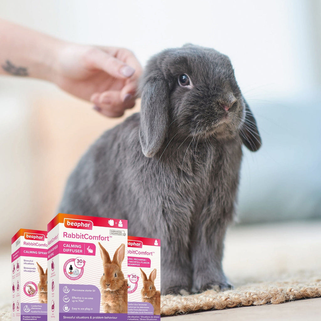 Beaphar Pet Supplies Beaphar RabbitComfort Calming Diffuser 48ml