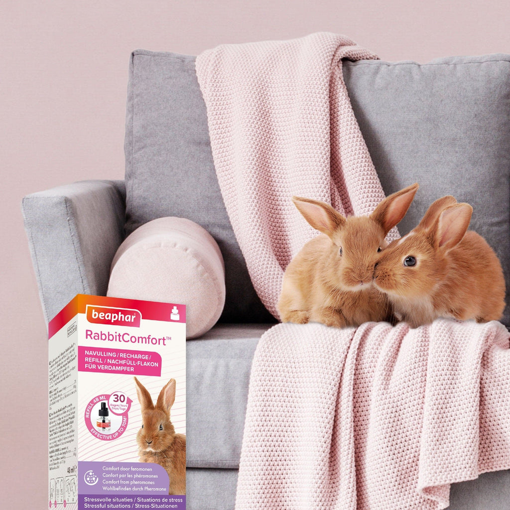 Beaphar Pet Supplies Beaphar RabbitComfort Calming Diffuser Refill 48ml