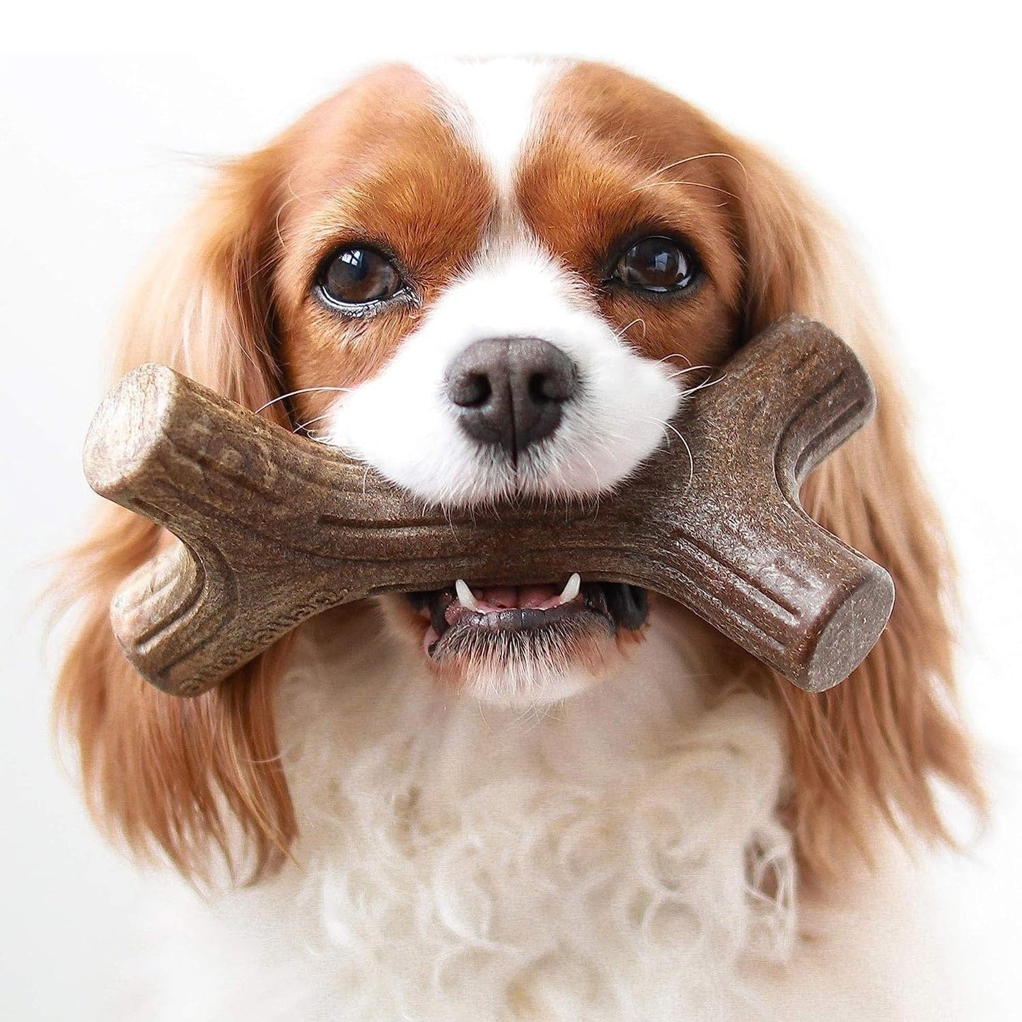 Benebone Pet Supplies Benebone Bacon Stick - Small