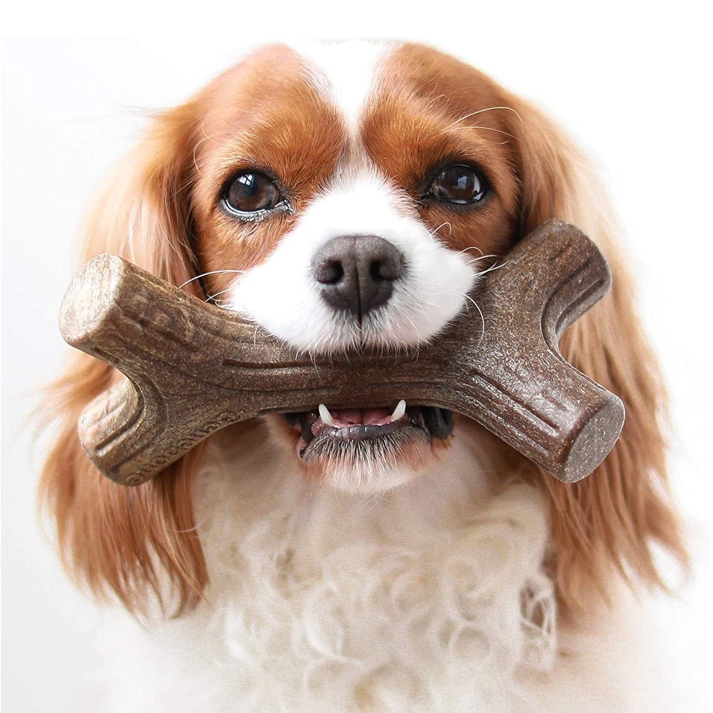 Benebone Pet Supplies Benebone Maplestick - Small