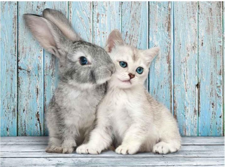 Clementoni Toys Clementoni - adult puzzle best friends cat & bunny 500pcs