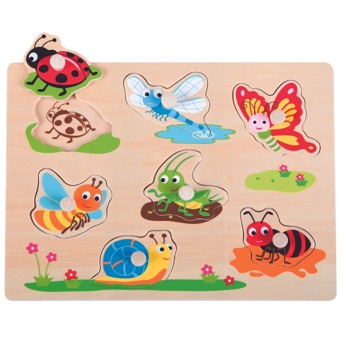 Lelin Insect Peg Puzzle
