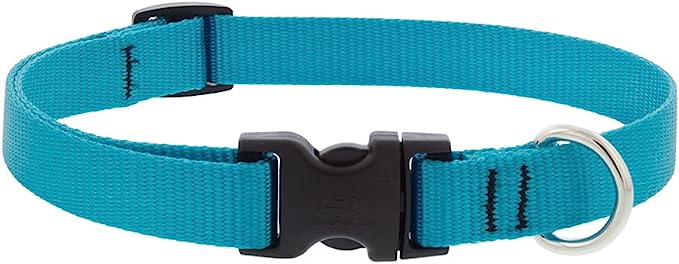 LupinePet Basics 3/4in Aqua Adjustable. Collar 9-14" / 23-35cm