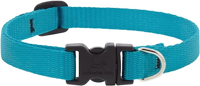 LupinePet Basics 1/2in Aqua Adjustable Collar 6-9" / 16-22cm