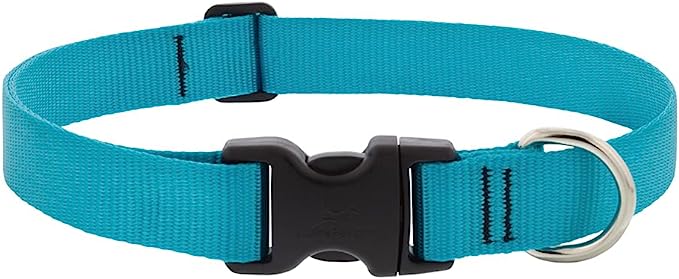 LupinePet Basics 1 in Aqua Adjustable Collar 12-20" / 31-50cm