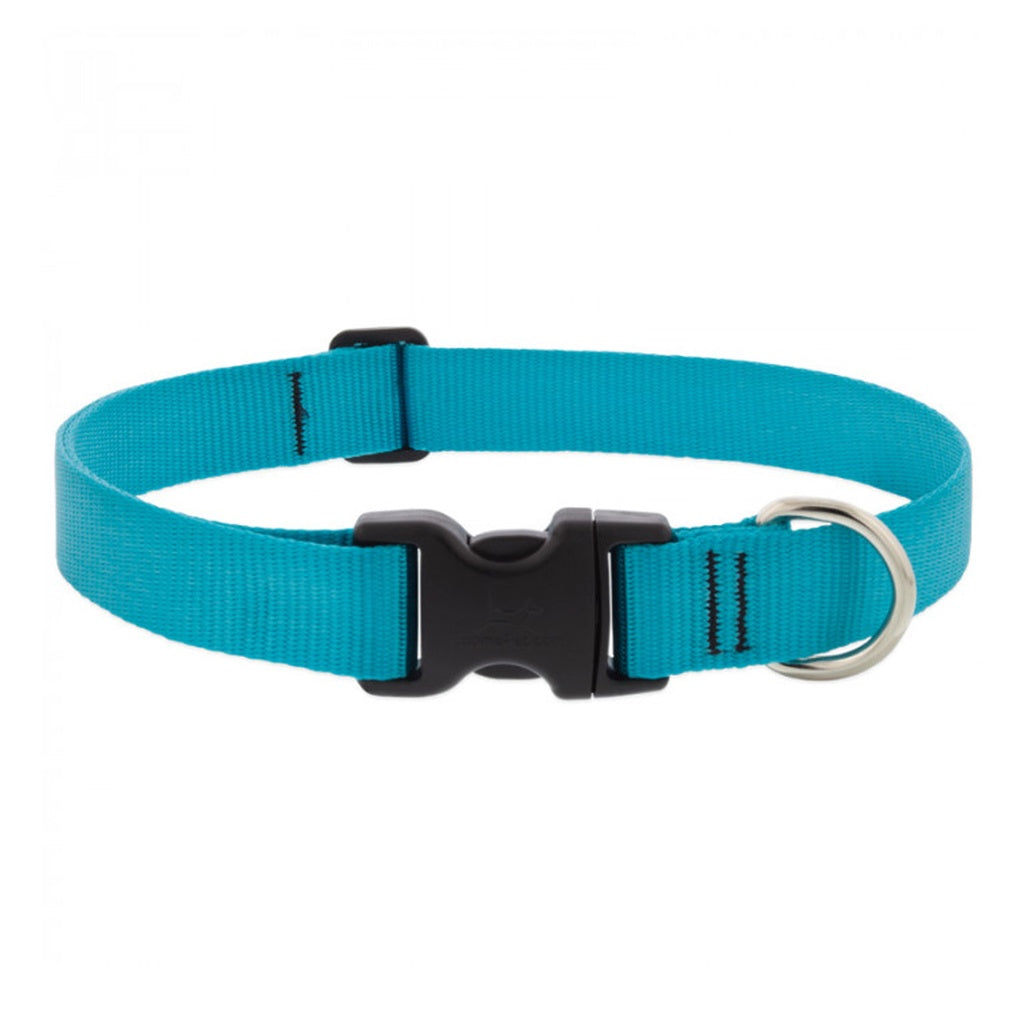 LupinePet BASICS Adjustable Collar Aqua 1inch for Large Dogs 16-28inch / 41-71cm