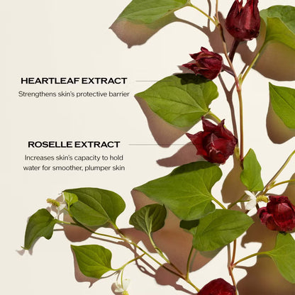 Shiseido Ultimune Power Infusing Concentrate